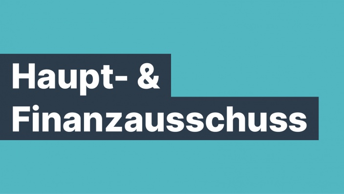 Haupt- und Finanzausschuss