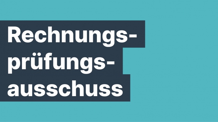 Rechnungsprüfungsausschuss