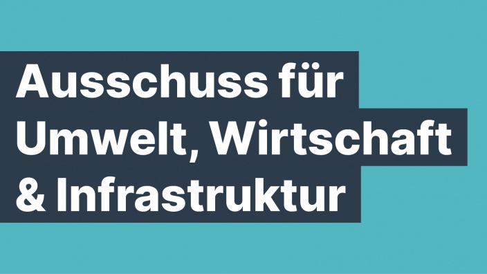 Ausschuss für Umwelt, Wirtschaft und Infrastruktur